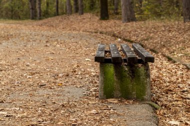 Yaya yolu sonbahar yaprakları ve sağ taraftaki boş bankla kaplı.