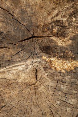 Eskimiş Çatlamış Kahverengi Ahşap Doku