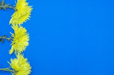 Mavi Arkaplanda Sarı Çiçekler Kullanarak Yaratıcı Bileşim Oluşturuldu