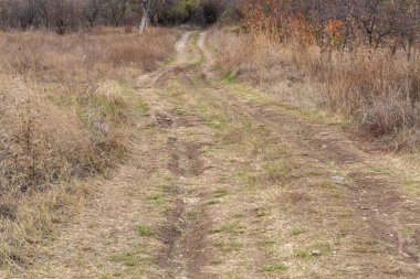 Kırsal Bölgede Yukarı Giden Toprak Yol