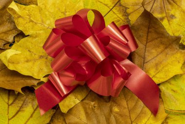 Kuru Sonbahar Yaprakları kullanılarak Arkaplanda Kırmızı Dekoratif Fiyonk