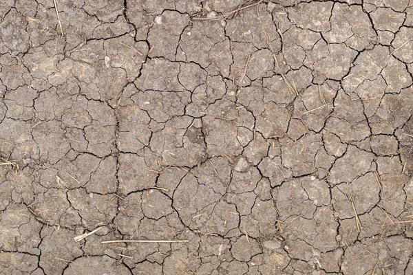 Textura Camino Suciedad Marrón Agrietada Seca — Foto de Stock