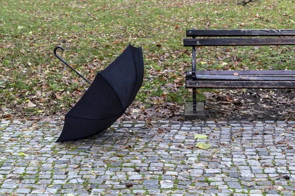 Schwebender Schwarzer Regenschirm Und Bank Park — Stockfoto