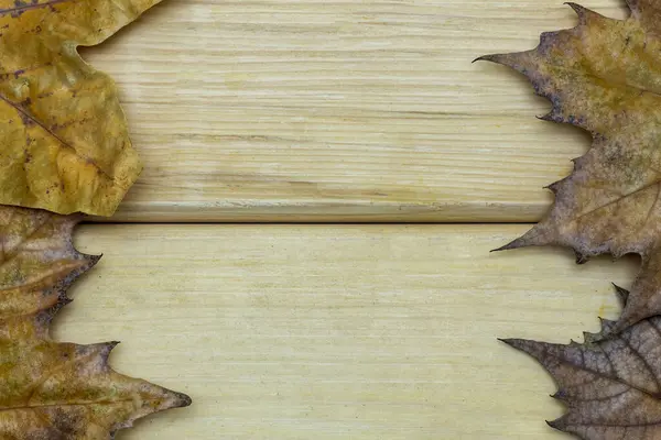 Hojas Secas Otoño Sobre Fondo Madera Copiar Espacio Medio — Foto de Stock