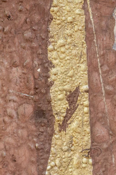Textura Madeira Envelhecida Acastanhada Close — Fotografia de Stock