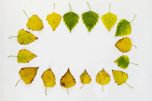 Rama Stworzona Przy Użyciu Kolorowych Liści Jesieni — Zdjęcie stockowe