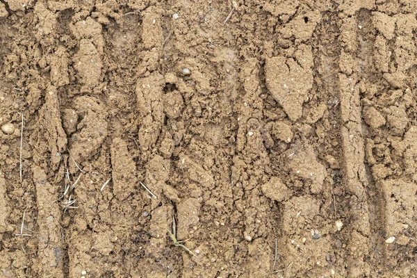 Texture Wheels Track Soil — Stock Photo, Image