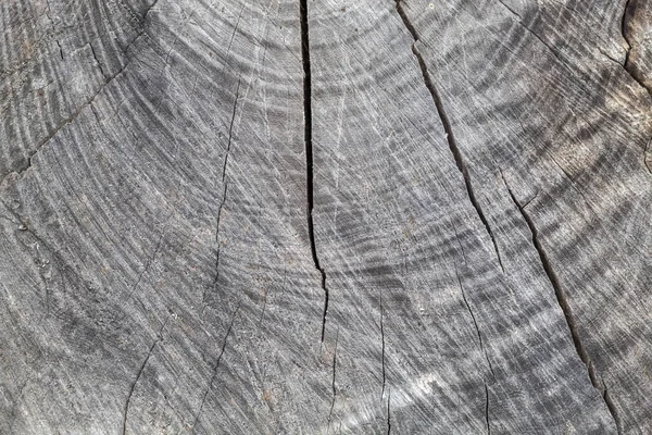 Old Weathered Pęknięty Szary Tekstury Drewna — Zdjęcie stockowe
