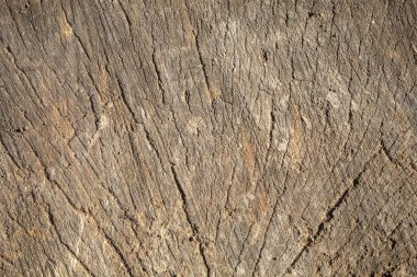 Eskimiş Kahverengimsi Çatlak Ahşap Doku