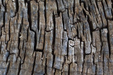 Eskimiş Çatlamış Ahşap Doku