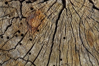 Eskimiş Çatlamış Kahverengimsi Ahşap Doku