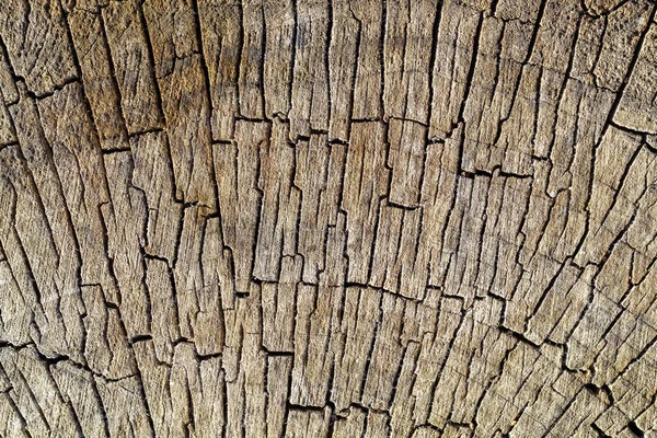 古い風化砕いた茶色の木のテクスチャ — ストック写真