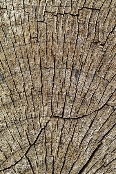 Textura Madera Envejecida Agrietada Marrón — Foto de Stock