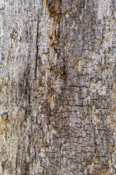 Stará Ošlehaná Popraskaná Hnědá Textura Dřeva — Stock fotografie