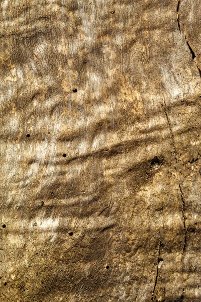 Velha Textura Madeira Acastanhada Weathered — Fotografia de Stock