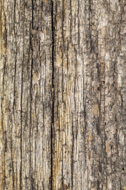 Eskimiş Çatlamış Ahşap Doku