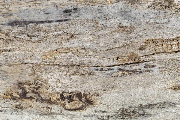 Old Weathered Cracked Wood Texture — Stock Photo, Image