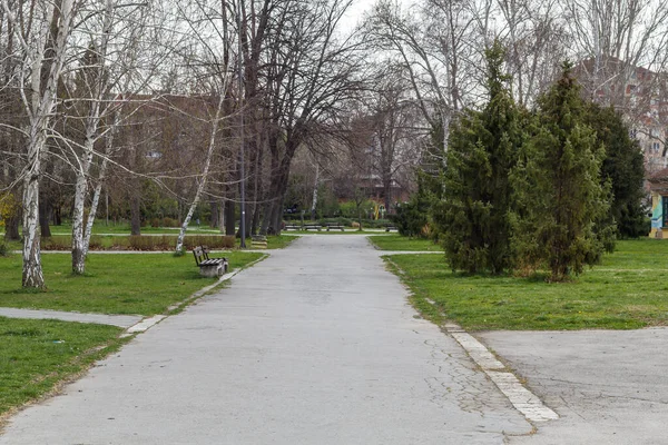 Lege Promenade Met Bomen Het Park — Stockfoto