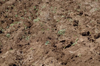 Taze sürülmüş topraktan alınan arkaplan