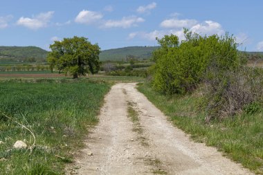 Kırsal bölgedeki toprak yol.