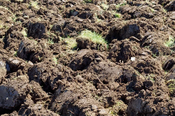 Background Freshly Plowed Soil — Stock Photo, Image