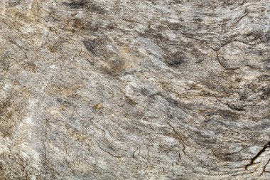 Yaşlı Yıpranmış Ağaç Kabuğu dokusu