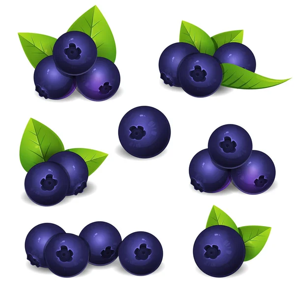 Bilberry set with leaves — Stock Vector