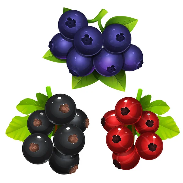 Bilberry with black and red currant — Stock Vector