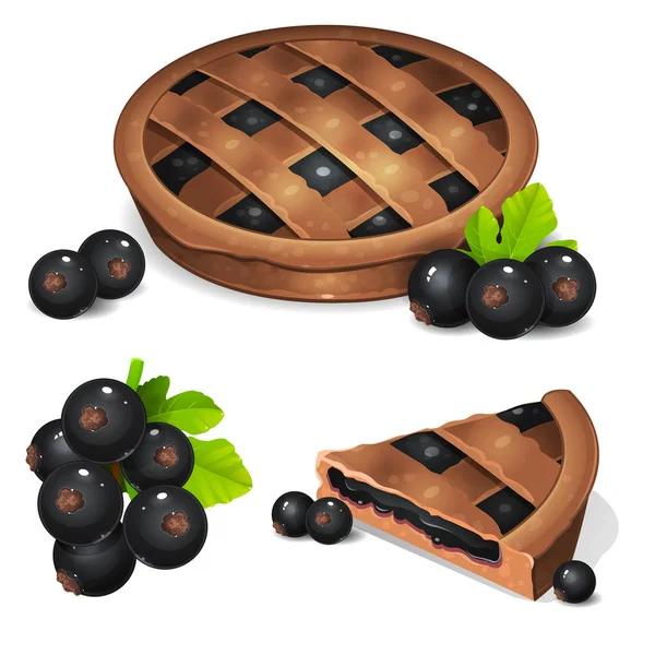 Пирог с черной смородиной — стоковый вектор