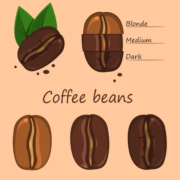 Ilustrace Kávových Zrn Set Listy Světlém Pozadí — Stockový vektor