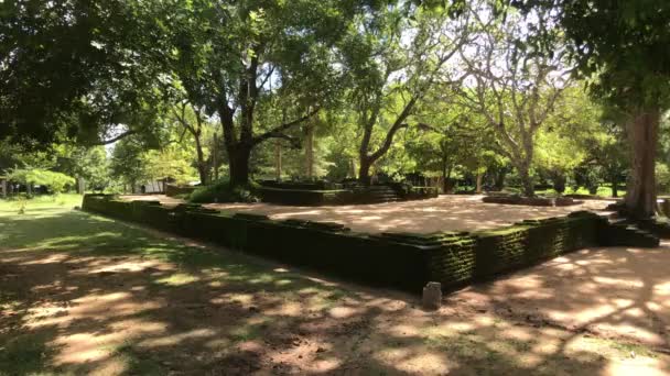 Anuradhapura Σρι Λάνκα Θέα Των Ερειπίων Στο Βασιλικό Πάρκο — Αρχείο Βίντεο