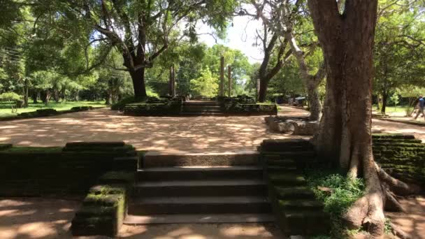 スリランカのAnuradhapura ロイヤルパークの階段と遺跡の景色 — ストック動画