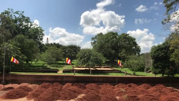 Anuradhapura Sri Lanka Vue Sur Les Vestiges Une Clôture Dans — Video