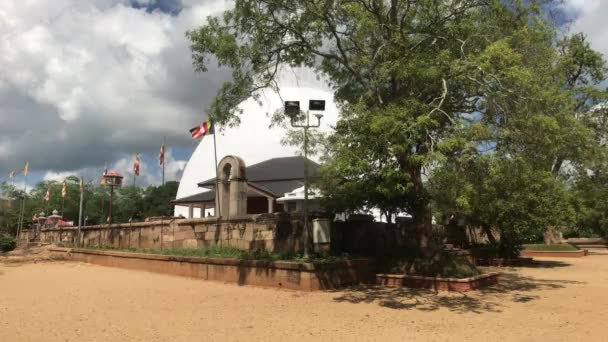 Anuradhapura Sri Lanka Uma Vista Através Dos Ramos Pequeno Dagoba — Vídeo de Stock