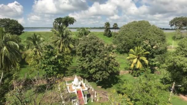 Anuradhapura Sri Lanka View Mountain Pagoda Park — Stock Video