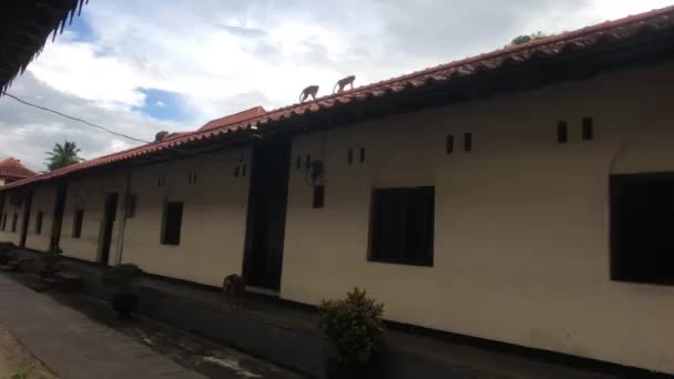 Kandy Sri Lanka Ein Wohnhaus Auf Dem Tempelgelände — Stockvideo
