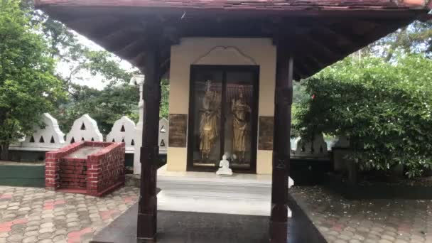 Kandy Sri Lanka Bâtiment Prière Sur Terrain Temple — Video
