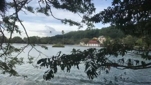Kandy Σρι Λάνκα Θέα Της Λίμνης Μέσα Από Δέντρα — Αρχείο Βίντεο
