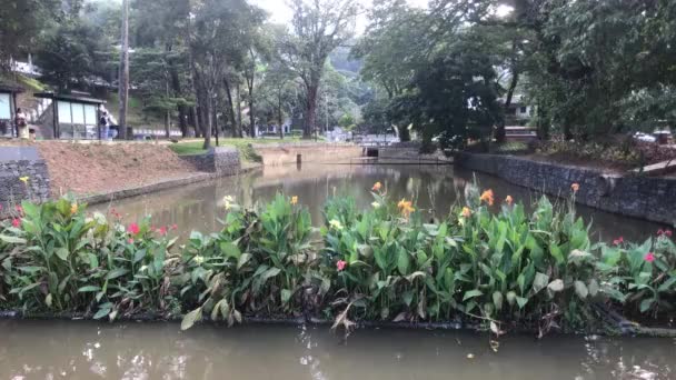 Kandy Sri Lanka Pont Avec Des Fleurs Long Lac — Video