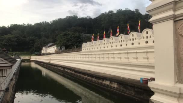 Kandy Sri Lanka Längs Väggen Och Kanalen Med Vatten Templet — Stockvideo