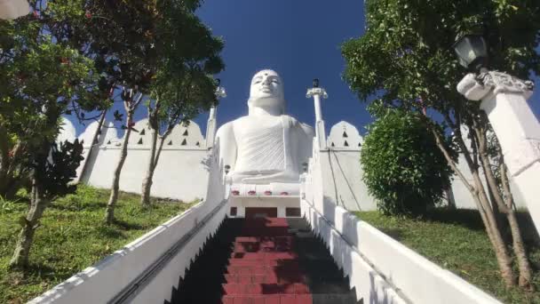 Kandy Sri Lanka Blick Auf Den Buddha Vom Boden Der — Stockvideo