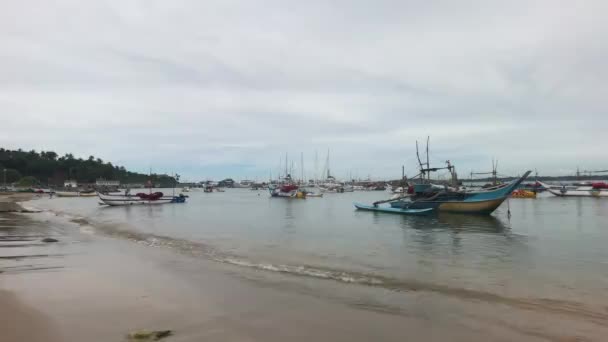 Mirissa, Sri Lanka, wal in de haven bij de vissteiger — Stockvideo