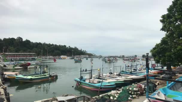 Mirissa, Sri Lanka, barcos de pesca en el puerto en la vista del muelle desde lejos — Vídeos de Stock