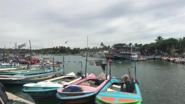 Mirissa, Sri Lanka, vissersboten in de haven aan de pier — Stockvideo