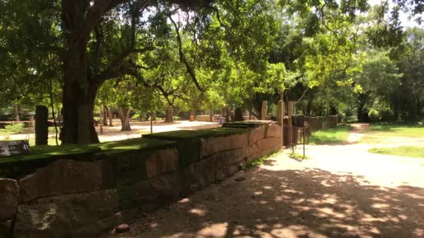 Anuradhapura, Sri Lanka, cień dużego drzewa — Wideo stockowe