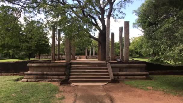 Anuradhapura, Srí Lanka, zřícenina pilířů v parku — Stock video