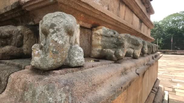 Anuradhapura, sri lanka, steinerne Artefakte — Stockvideo