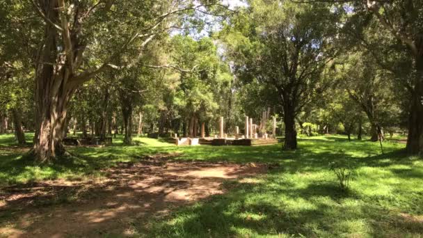 Anuradhapura, sri lanka, Wald, Park und Ruinen — Stockvideo