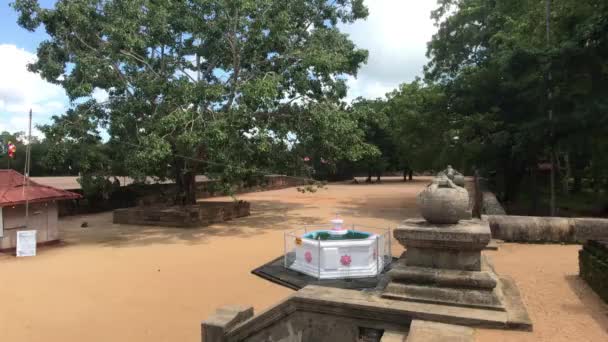 Anuradhapura, Srí Lanka, malá fontánka u vchodu — Stock video