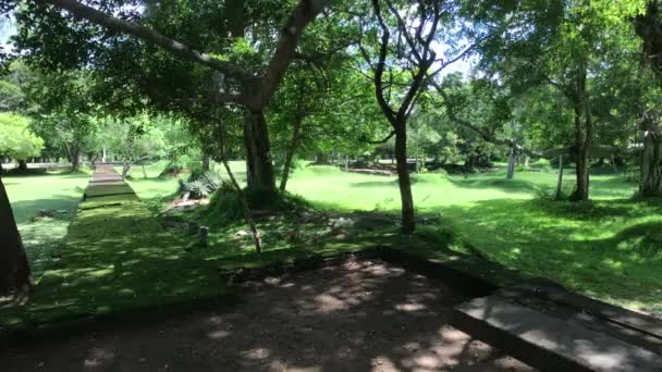 Anuradhapura, Sri Lanka, helder weer in het oude park — Stockvideo